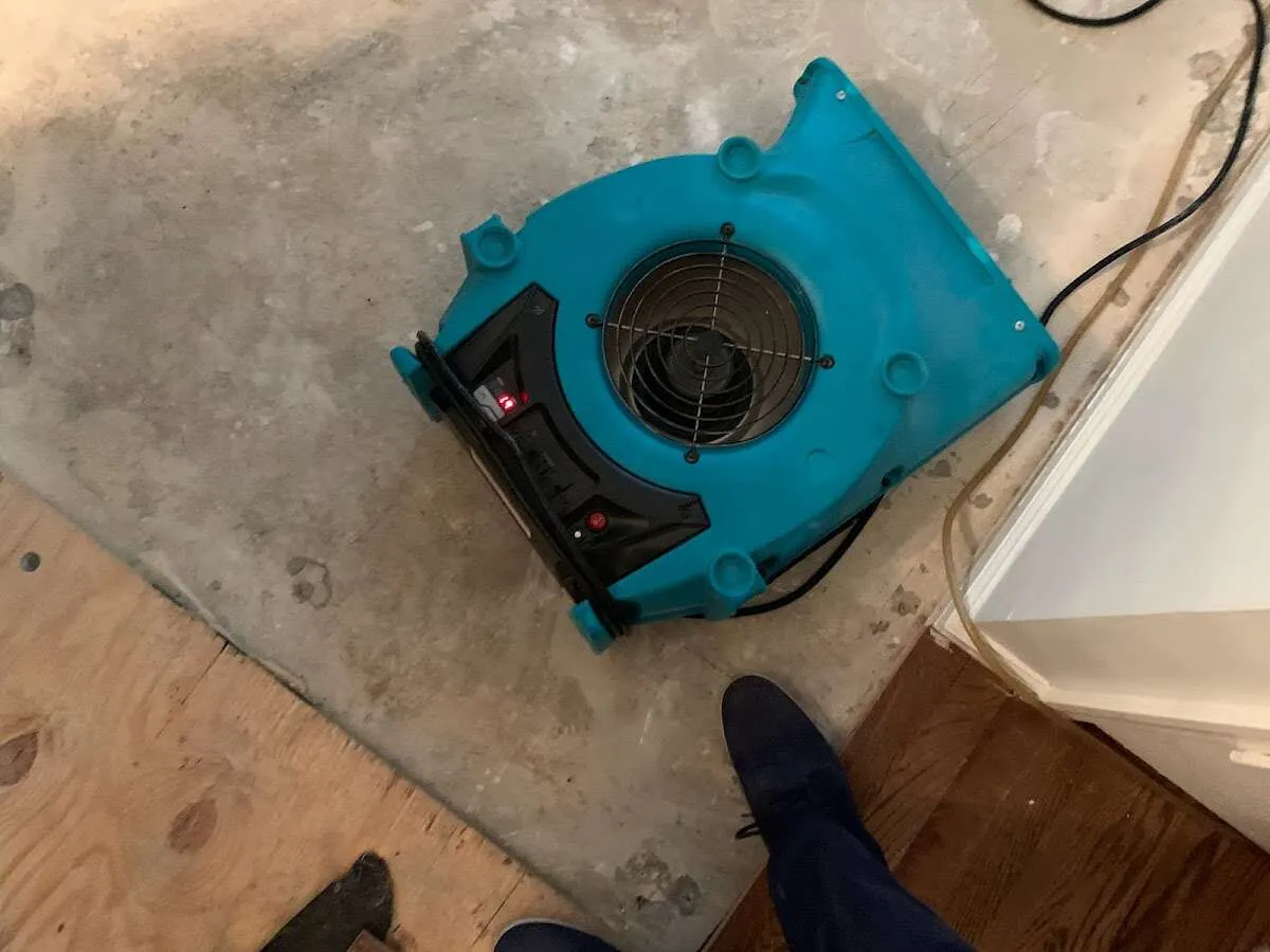 Air mover drying subfloor during Commercial Water Damage Restoration in Cambria